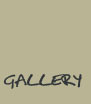 View our Gallery